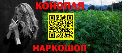шишки Гатчина