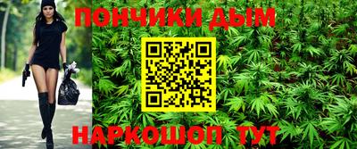 ALPHA PVP Гай