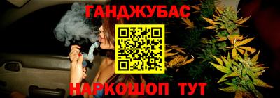 шишки Гатчина