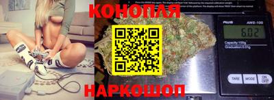 шишки Гатчина