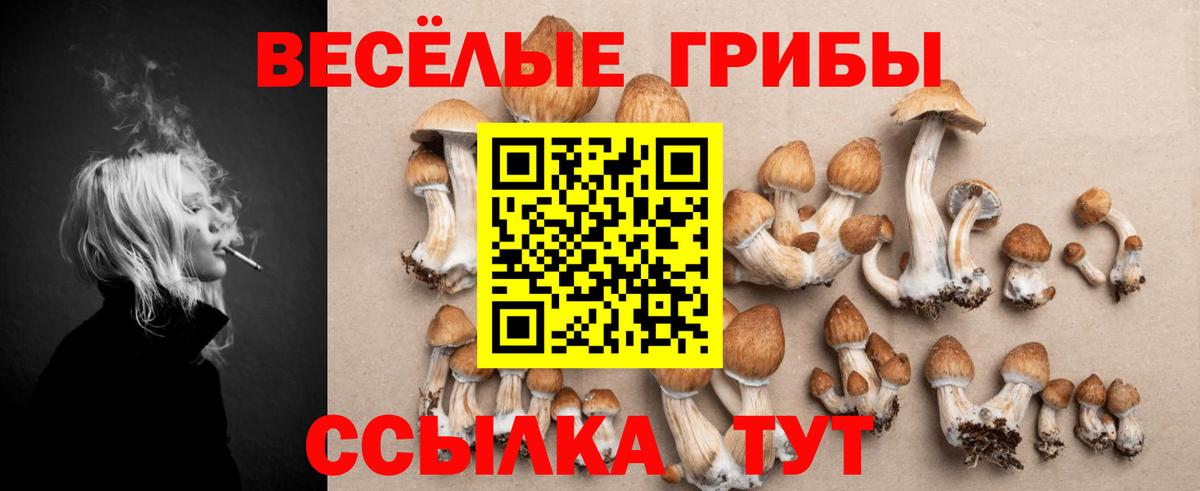 Псилоцибиновые грибы GOLDEN TEACHER Муравленко