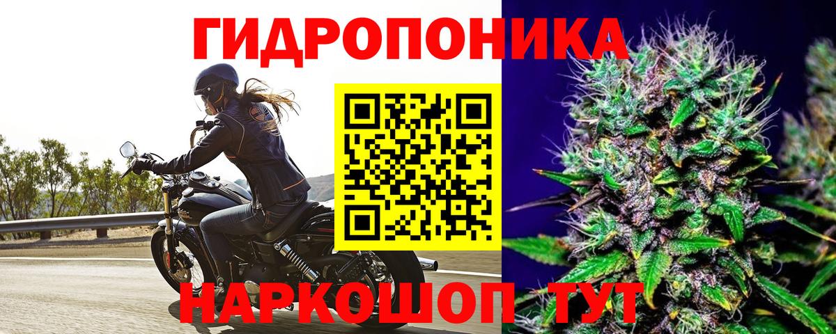 Бошки марихуана индика Муравленко